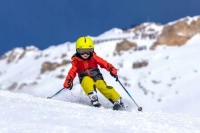 Горные лыжи эксперт детские (цена за день)