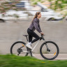 Велосипед Alpinebike Terra 9 29" белый мрамор рама: S/M (ЕТТ 585) (2026) - Велосипед Alpinebike Terra 9 29" белый мрамор рама: S/M (ЕТТ 585) (2026)