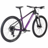 Велосипед Alpinebike Terra 9 29" фиолетовый рама: M/L (ЕТТ 615) (2026) - Велосипед Alpinebike Terra 9 29" фиолетовый рама: M/L (ЕТТ 615) (2026)