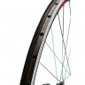 Колесо KMS 28", 29" заднее, двойной обод, гайка - Колесо KMS 28", 29" заднее, двойной обод, гайка