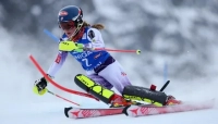 Горные лыжи спортцех женские (цена за день)