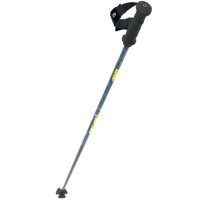 Горнолыжные палки Fischer RC4 Noize (Z30125) Горнолыжные палки Fischer RC4 Noize (Z30125)