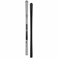 Горные лыжи Van Deer GS World Cup Race grey 193cm R30m Alu World Cup Plate без креплений (2026)