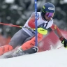 Горные лыжи спортцех мужские (цена за день) - Горные лыжи спортцех мужские (цена за день)