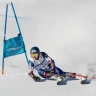 Горные лыжи спортцех мужские (цена за день) - Горные лыжи спортцех мужские (цена за день)