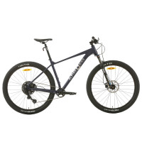 Велосипед Alpinebike Alpstein-Altmann MTB 10 AIR 29" темно-серый рама: S/M (2026)