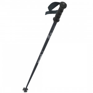 Горнолыжные палки Fischer Lite (Z31525) 