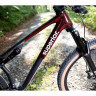 Велосипед Superior XF 9.6 Team 29" Gloss Carbon/Red Carbon рама: L (2026) - Велосипед Superior XF 9.6 Team 29" Gloss Carbon/Red Carbon рама: L (2026)