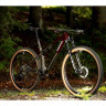 Велосипед Superior XF 9.6 Team 29" Gloss Carbon/Red Carbon рама: L (2026) - Велосипед Superior XF 9.6 Team 29" Gloss Carbon/Red Carbon рама: L (2026)