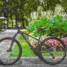 Велосипед Alpinebike Prime 11 29" черный рама: L/XL (ETT 651) (2026) - Велосипед Alpinebike Prime 11 29" черный рама: L/XL (ETT 651) (2026)