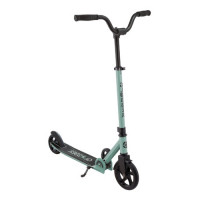 Самокат Globber Flow Rider шалфейный