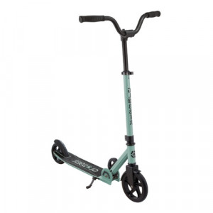Самокат Globber Flow Rider шалфейный 