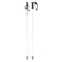 Палки горнолыжные Head Worldcup Carbon white/black/speed blue