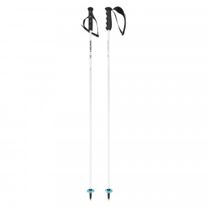 Палки горнолыжные Head Worldcup Carbon white/black/speed blue 