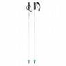 Палки горнолыжные Head Worldcup Carbon white/black/speed blue - Палки горнолыжные Head Worldcup Carbon white/black/speed blue