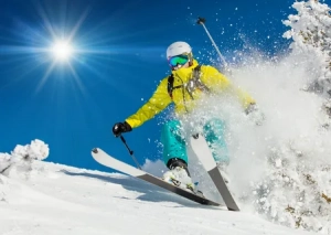 Горные лыжи стандарт взрослые (цена за день) 