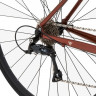 Велосипед Welt Denali 700C champagne brown рама: L (20") (2025) - Велосипед Welt Denali 700C champagne brown рама: L (20") (2025)