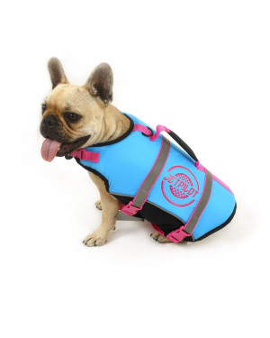 Спасательный жилет для собак Jetpilot Dog Vest Blue (2019) 