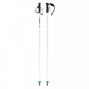 Палки горнолыжные Head Worldcup SL white/black/speed blue (381075) 