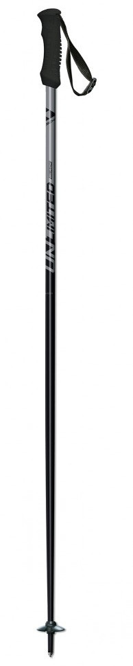 Горнолыжные палки Fischer Unlimited black (2021)
