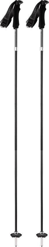 Палки горнолыжные Volant Pole All Black (2022)