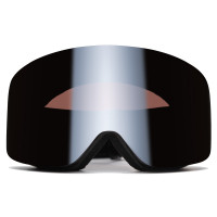 Маска горнолыжная WhiteLab Team One New silver