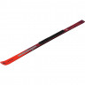 Горные лыжи Atomic Redster G9 FIS Revoshock S (173-180) без креплений (2025) - Горные лыжи Atomic Redster G9 FIS Revoshock S (173-180) без креплений (2025)