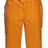 Брюки горнолыжные Jack Wolfskin Exolight Mountain Pants Men rusty orange (2020) - Брюки горнолыжные Jack Wolfskin Exolight Mountain Pants Men rusty orange (2020)
