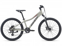 Велосипед Giant XTC JR Disc 24 Concrete (2021)