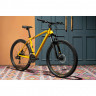 Велосипед Welt Raven 1.0 D 29 Dark Yellow рама: 18" (2023) - Велосипед Welt Raven 1.0 D 29 Dark Yellow рама: 18" (2023)