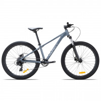 Велосипед Aspect Radium Pro SE 26" серый рама: XS (2026)
