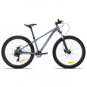 Велосипед Aspect Radium Pro SE 26" серый рама: XS (2026) 