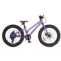 Велосипед Shulz Chloe 20 Race Plus violet