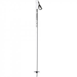 Горнолыжные палки Fischer RC One Lite Al (Z32820) 