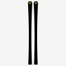Горные лыжи Salomon X S/Race Rush GS + X12 TL (2022) - Горные лыжи Salomon X S/Race Rush GS + X12 TL (2022)