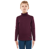 Термокофта зимняя с высоким воротом Dragonfly Teenager bordo