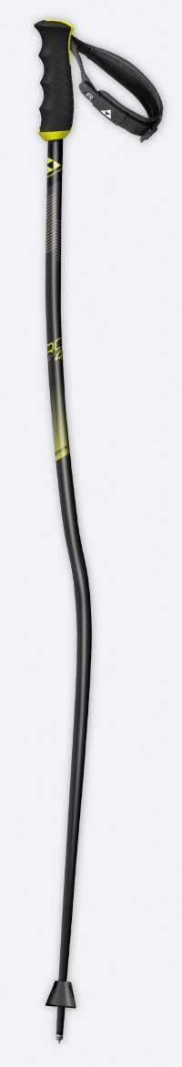 Палки горнолыжные Fischer RC4 GS (2020)