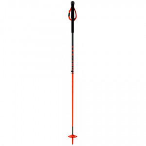 Палка One Way Alpine TR Carbon Vario (от 110 до 145 см) (OZ34321) 