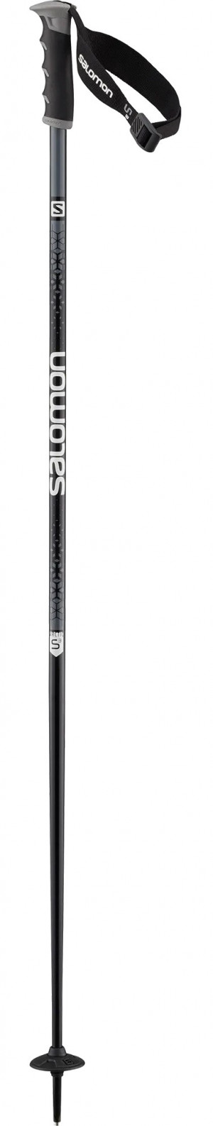 Палки горнолыжные Salomon Arctic S3 black 