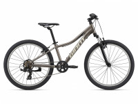 Велосипед Giant XtC Jr 24 Metal Gray (2022)