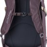 Рюкзак Женский Dakine Womens Heli Pro 20L Amethyst - Рюкзак Женский Dakine Womens Heli Pro 20L Amethyst