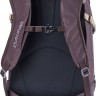 Рюкзак Женский Dakine Womens Heli Pro 20L Amethyst - Рюкзак Женский Dakine Womens Heli Pro 20L Amethyst