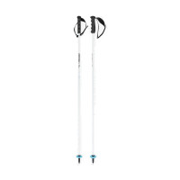 Палки горнолыжные Head Worldcup Carbon 12.3 mm Carbon white/black/speedblue (381204)