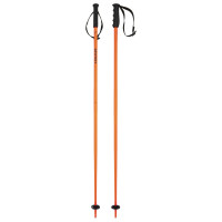 Палки горнолыжные Head Multi 18 mm orange