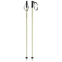 Палки горнолыжные Head Multi 18 mm olive