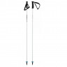 Палки горнолыжные Head Worldcup Carbon 12,3 mm Carbon white/black/speedblue - Палки горнолыжные Head Worldcup Carbon 12,3 mm Carbon white/black/speedblue