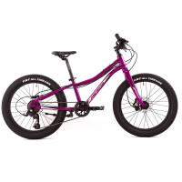 Велосипед Merida Matts J.20+ Pro Purple/BlackChampagne (2023)