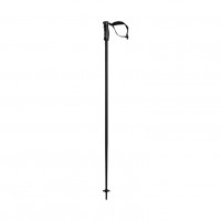 Палки горнолыжные Head Multi black-black