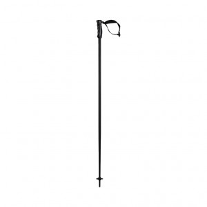 Палки горнолыжные Head Multi black-black 