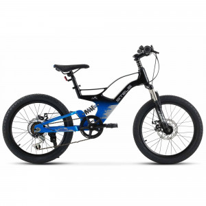 Велосипед Stels Leader 250 20" MD Z010 (м) синий/черный (2024) 